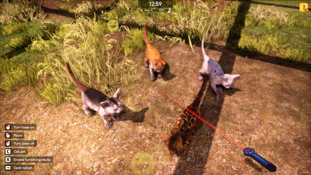 animal shelter 5 